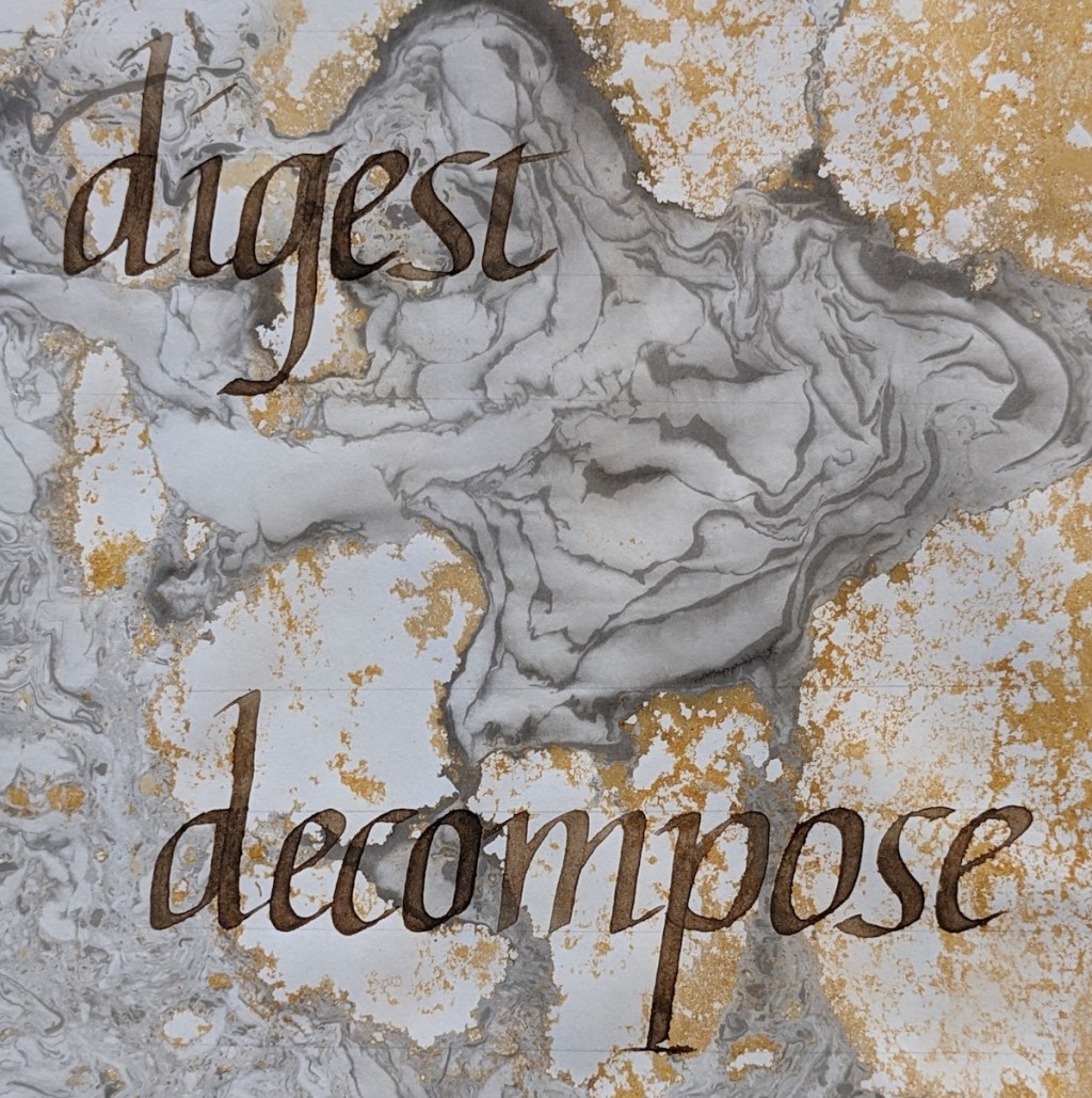 The Problem with Representasians: A&nbsp;Series