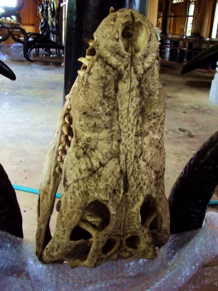 With Her Diamond Teeth (2016) – or, where are the ESEA&nbsp;freaks?